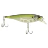 HD Pilchard