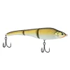 Nat Golden Shiner