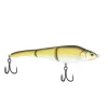 Natural Golden Shiner