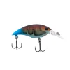 Killer Craw