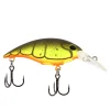 Root Beer Craw