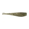 Emerald Shiner