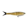 Golden Shiner