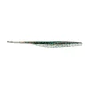 Pinfish