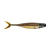 HD Fathead Minnow
