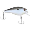 Blue Shad