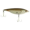 Mangrove Minnow