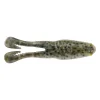 HD Bull Frog