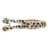 HD Snow Leopard